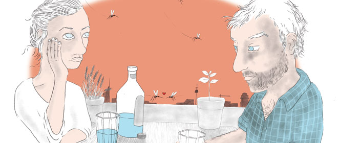   Von Woody lernen, heißt siegen lernen | Eine Geschichte über Mücken, isländische Liebhaber und ultimative Rumkriegtricks  