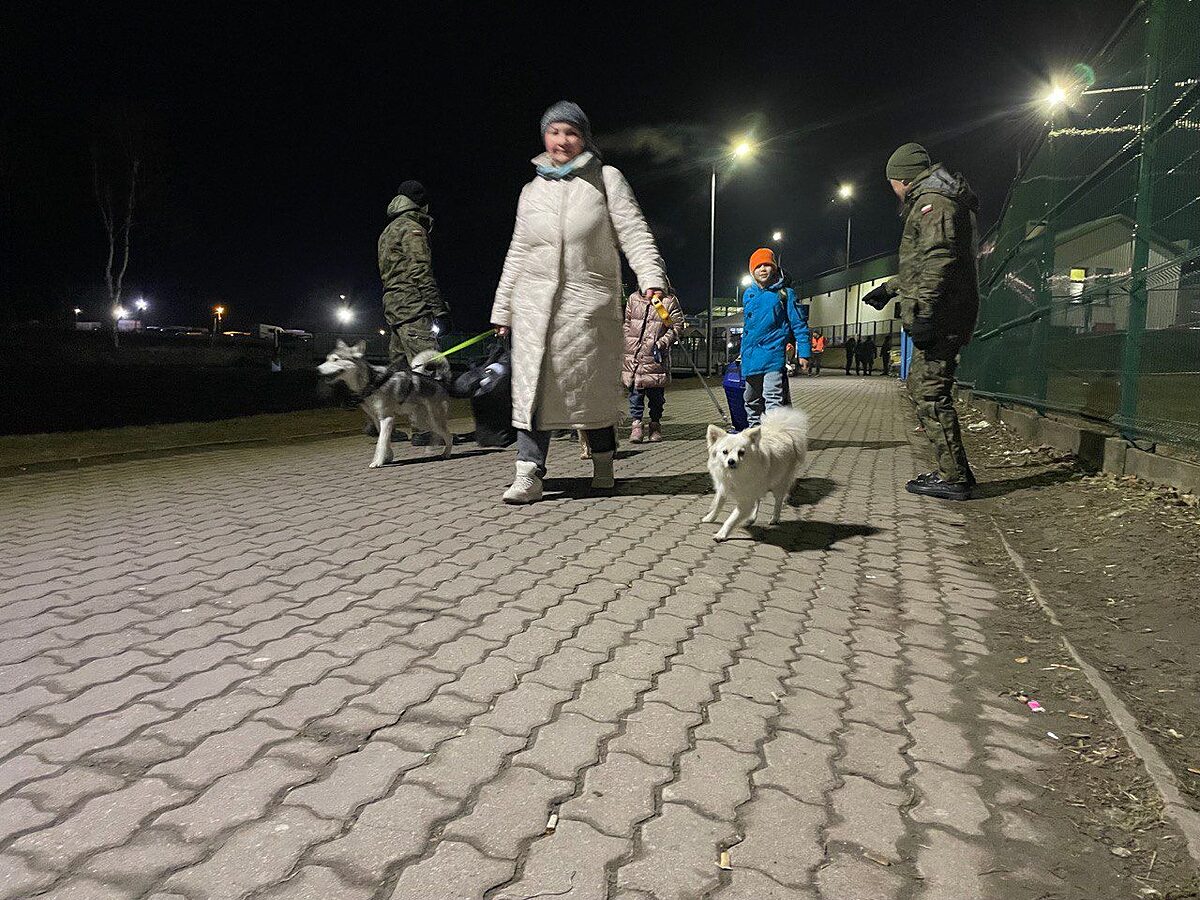   Refugees welcome, aber ohne Tiere | Geflüchtete können Haustiere nicht in Unterkünfte mitnehmen  