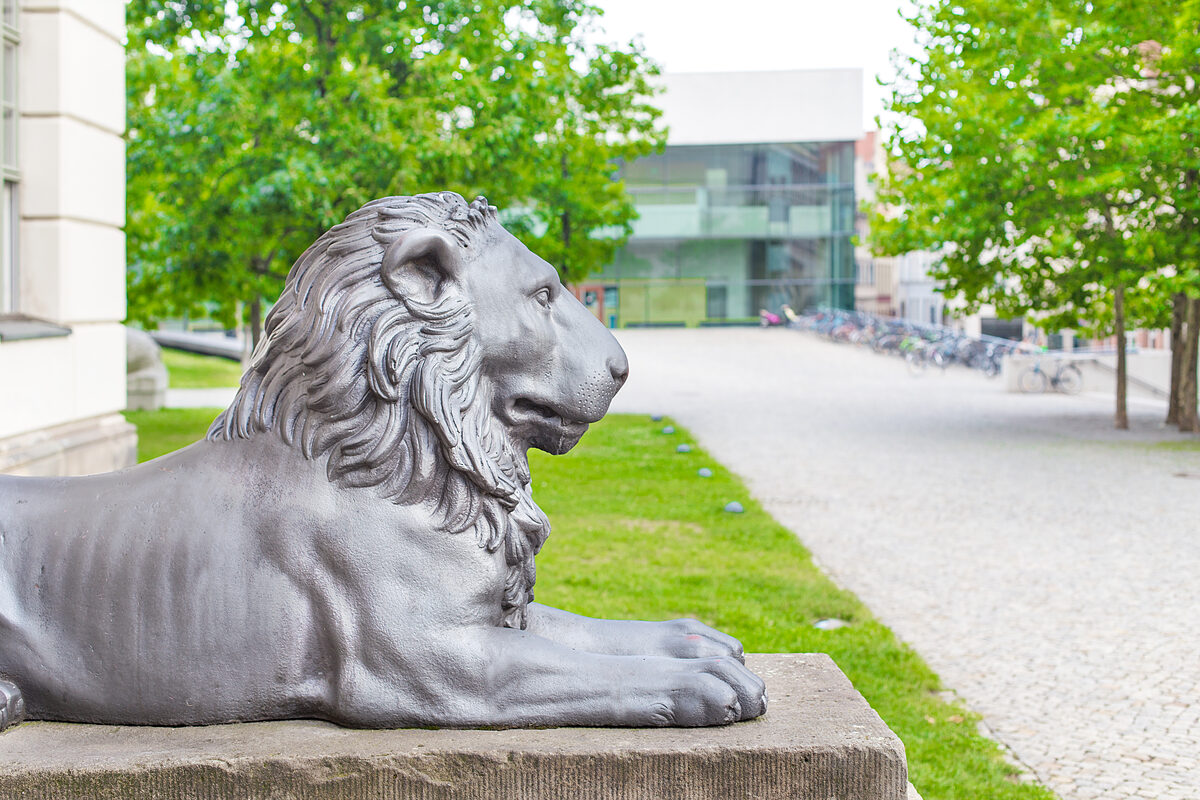  Uni Halle: Kürzungen beschlossen | Senat stimmt Sparpaket mit kleiner Mehrheit zu  