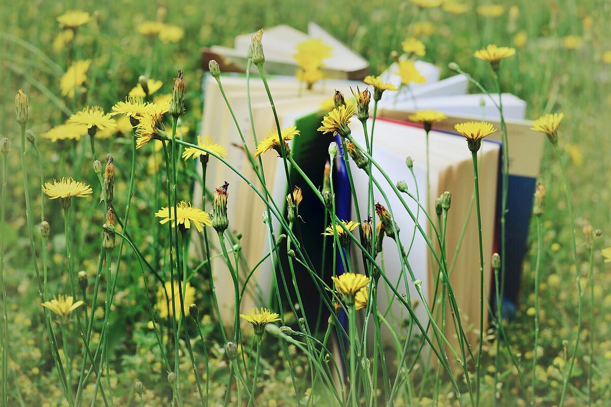   Eine Lesereise für den Sommer | Bücher-Tipps der Redaktion  