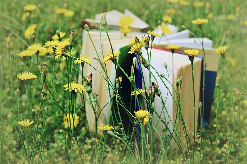 Eine Lesereise für den Sommer | Bücher-Tipps der Redaktion