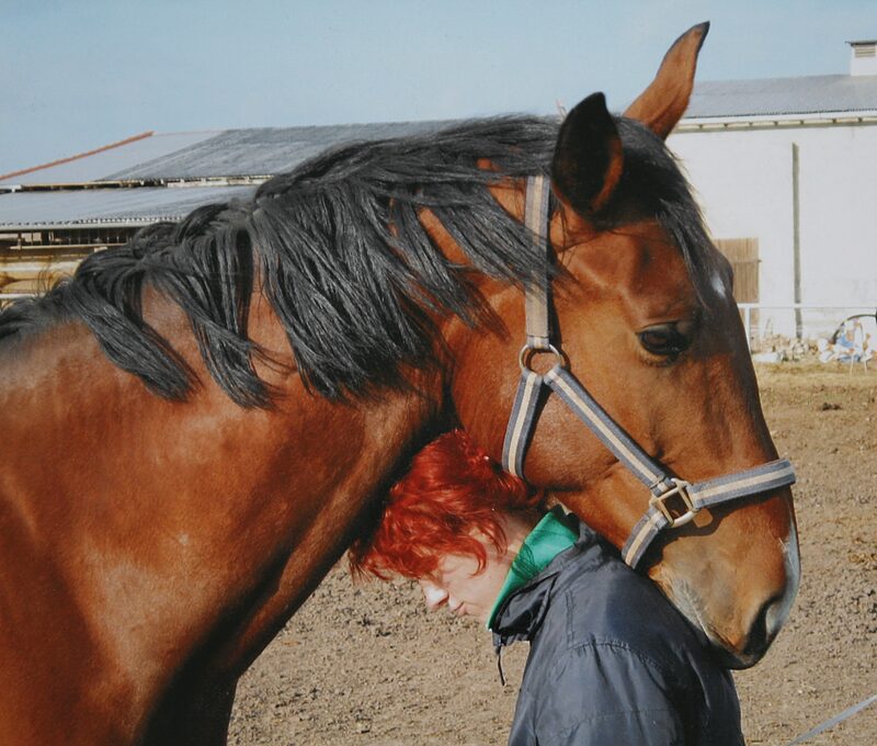 Antje Hamel im Jahr 2008 mit ihrem Pferd