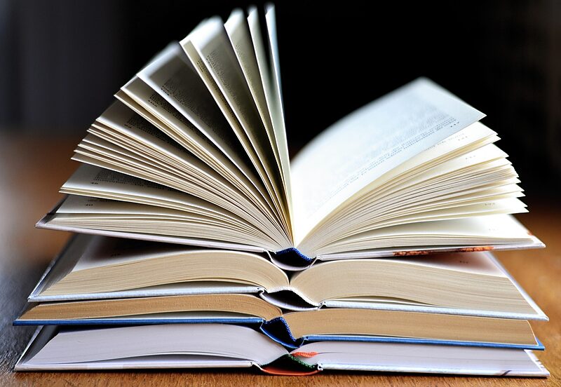Arbeit und Struktur und Überrschung | Der Literarische Herbst bietet auch in diesem Jahr vielseitiges Programm