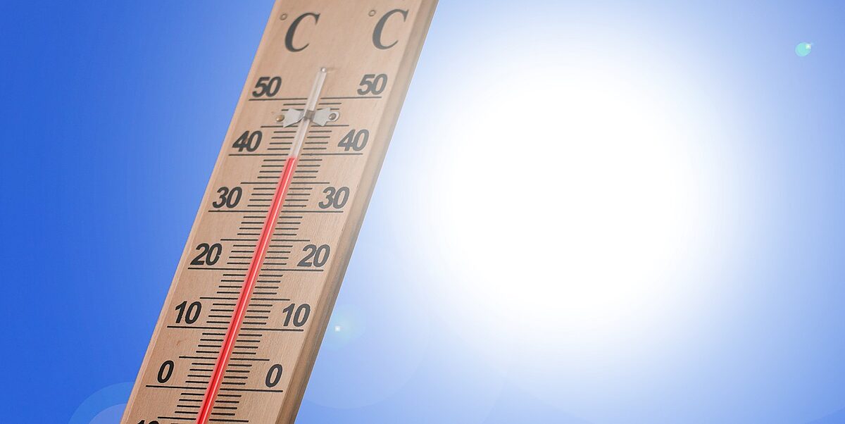   Die Leipziger leiden unter dem Klimawandel | Ergebnis aus Bürgerumfrage zeigt Bereitschaft, das eigene Verhalten anzupassen.  