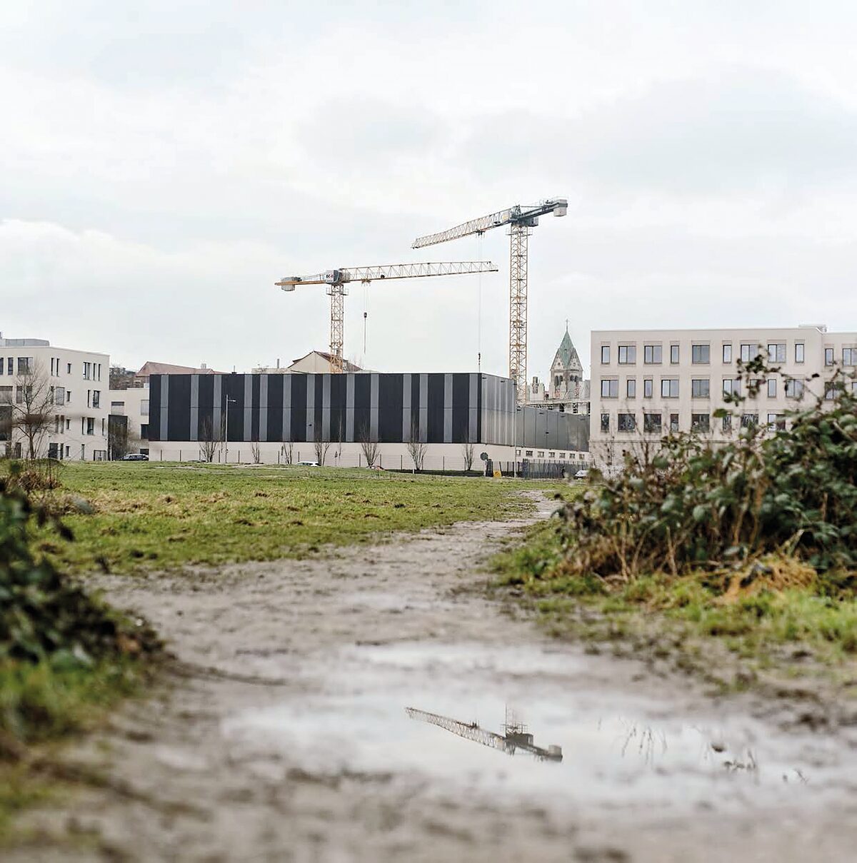   Für frische Luft auf dem Jahrtausendfeld | Eine Petition wendet sich gegen die Pläne von der Stadtbau AG und der Stadt zur Bebauung ohne wirkliches Dialogverfahren  
