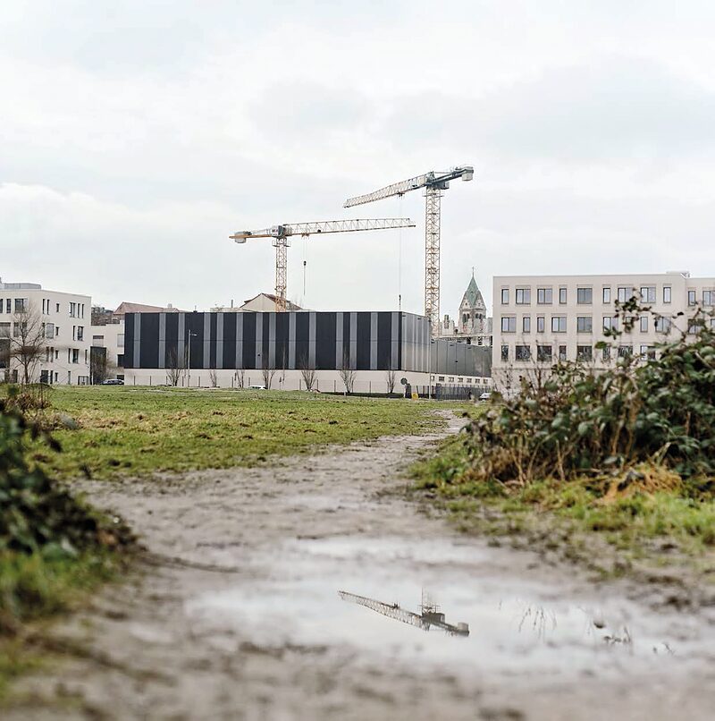 Für frische Luft auf dem Jahrtausendfeld | Eine Petition wendet sich gegen die Pläne von der Stadtbau AG und der Stadt zur Bebauung ohne wirkliches Dialogverfahren
