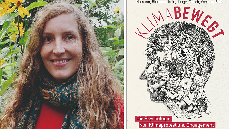 »Es braucht mehr als Angst« | Sozialpsychologin Karen Hamann über Angst, Schuld und Motivation beim Thema Klimakrise