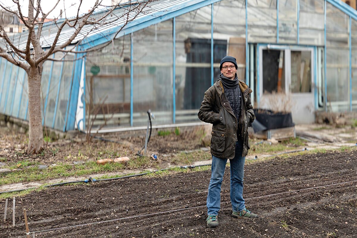   Gemüse aus Lindenau | In der Lützner Straße gibt es wieder eine urbane Landwirtschaft  