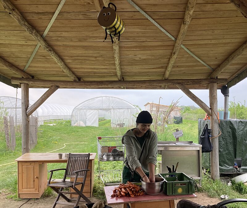 Acker ohne Macker | Die Genossenschaft Ackerilla möchte gemeinsame Landwirtschaft neu denken