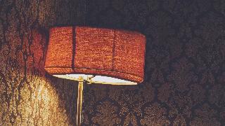 Creatures of the Night