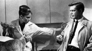 Frühstück bei Tiffany