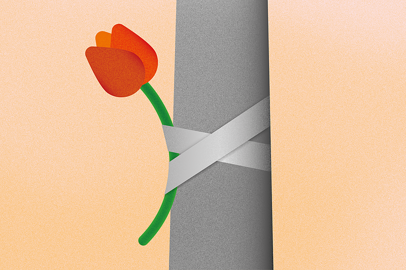 28. Januar: Vielen Zank für die Blumen | Die AfD sorgt sich um die Innenstadt und will sie mit Blumen verschönern