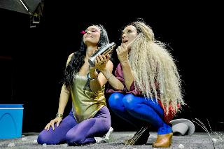 Die einzigen höchsten Bäume auf der Erde