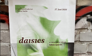 Daisies – A New Generation takes Spaces