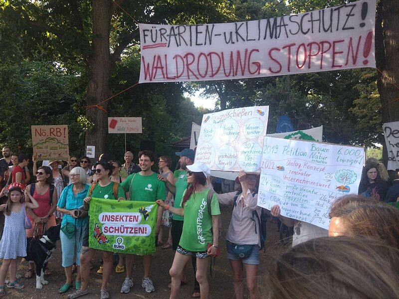 »Dieser Wald ist nicht verhandelbar« | Am 25.6. mobilisierten Umweltschutzverbände zu einer Demo gegen die Abholzung des Waldes