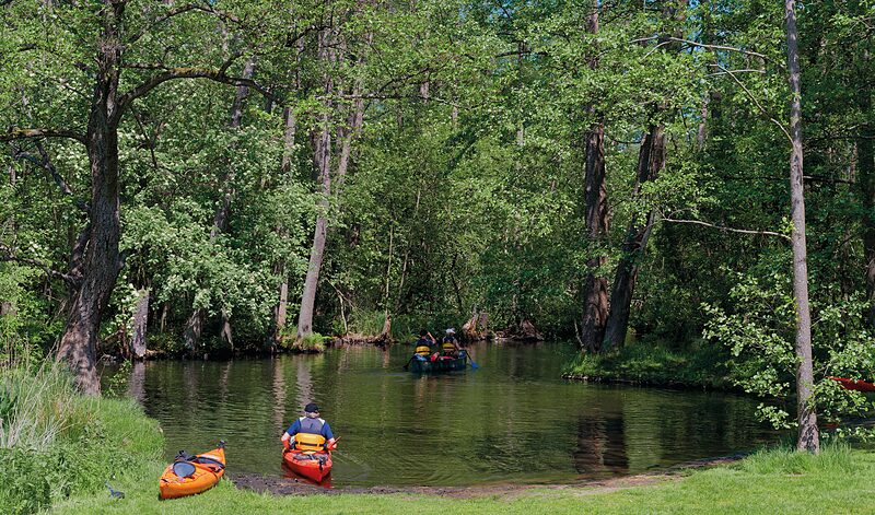 Immer im Fluss bleiben | Eine mehrtägige Paddeltour im Havelquellgebiet führt durch fast unberührte Natur