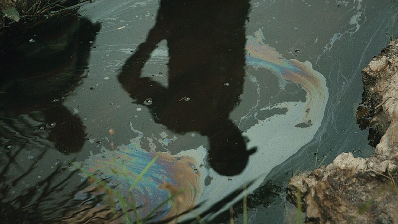 Miteinander reden | Die 69. Ausgabe des Dok-Festivals bringt einige Neuerungen und will vor allem eins: das Gespräch suchen