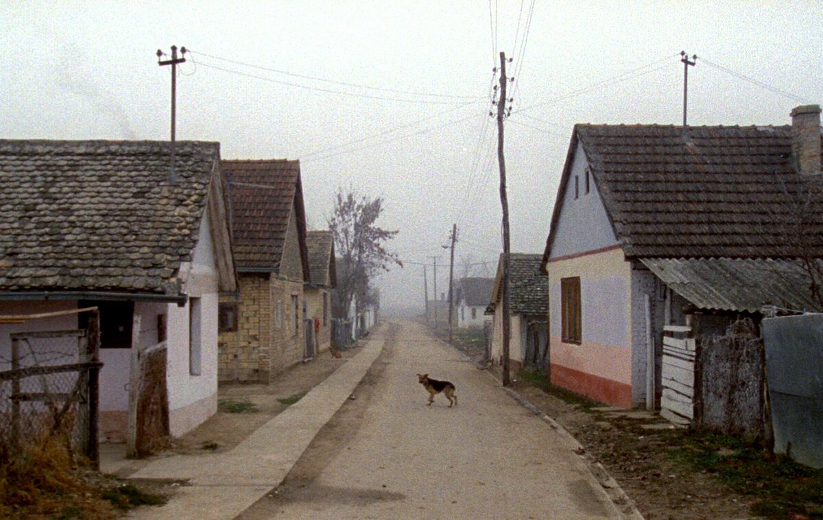   Erinnerte Landschaft | »Karpotrotter« von Matjaž Ivanišin  