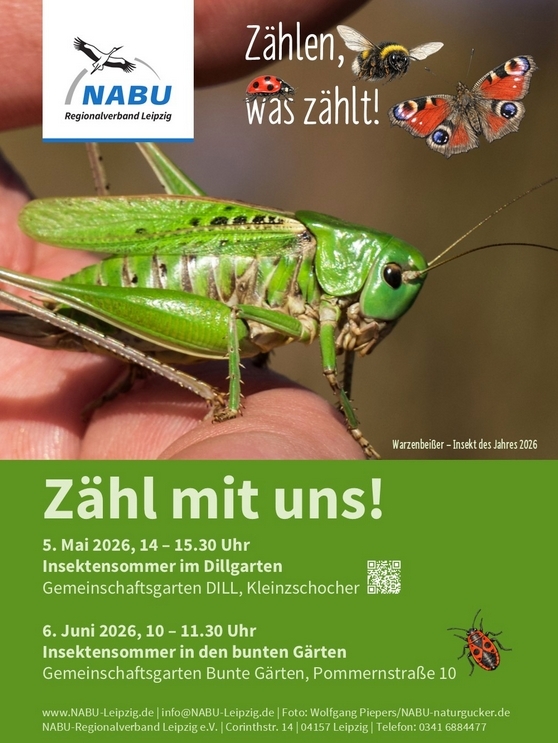 Insektensommer: Wisst ihr, was da krabbelt? ---