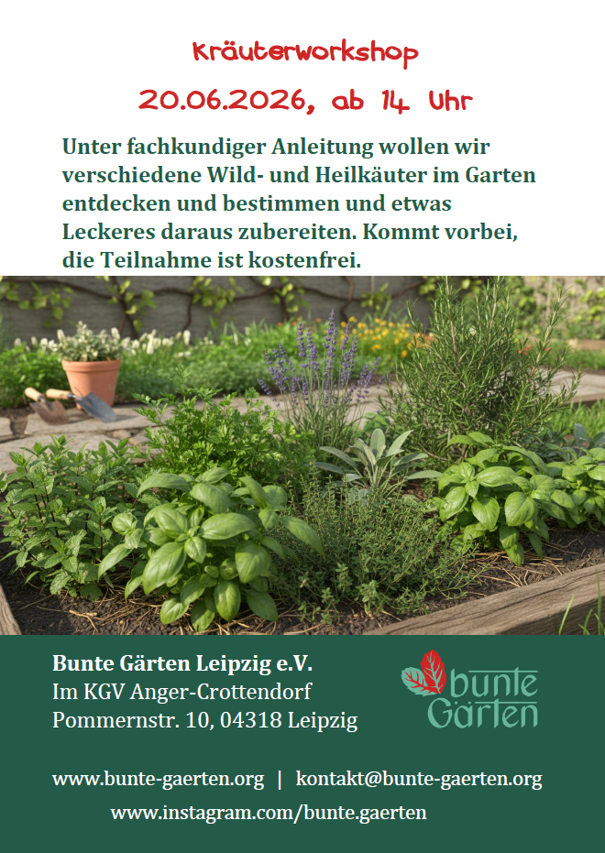 Kräuter entdecken und bestimmen ---