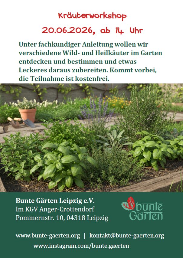 Kräuter entdecken und bestimmen