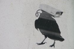   Humor, Kritik und Lebenslust | Street Art ist von Leipzigs Straßen nicht mehr wegzudenken  