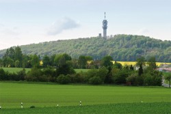   Von der Kultur zur Natur | Die MDV-Wandertouren 2010 – Route 1: Oschatz &#8594; Stadtwald &#8594; Collm &#8594; Oschatz  