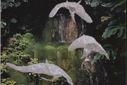   Künstlerischer Darwinismus | Dorine Crass stellt im Botanischen Garten Leipzig fragile Wesen aus Draht und Papier aus  