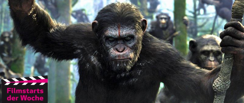   Von Affen und Menschen | Die Kinostarts im Überblick und was sonst noch Filmisches in der Stadt geschieht  