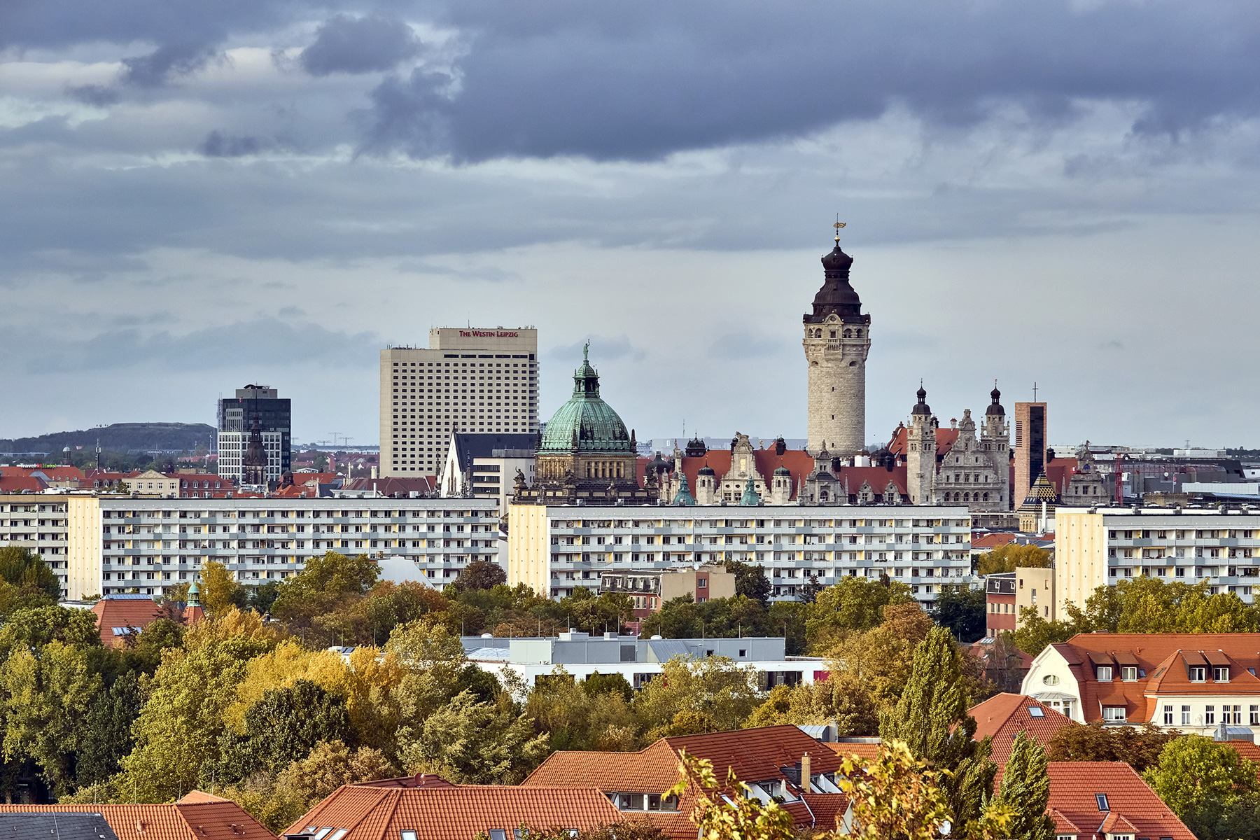   Grünes Licht | Stadtrat beschließt Grünsatzung für ein nachhaltiges Leipzig  