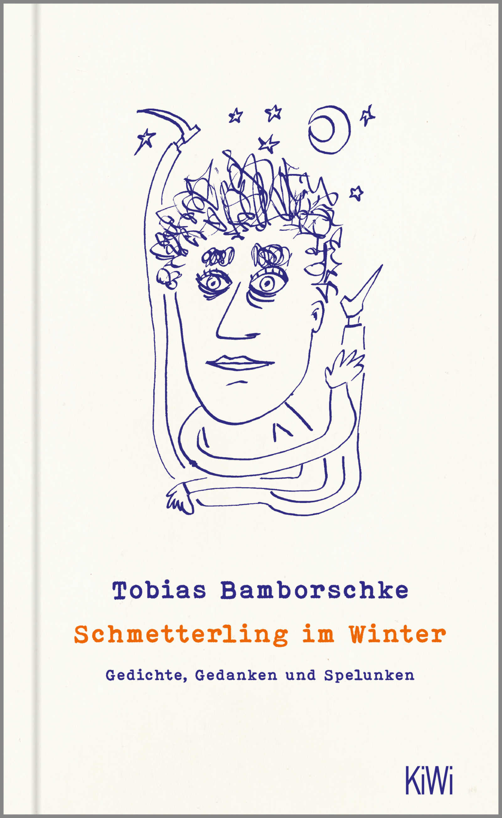Buchcover von Schmetterling im Winter