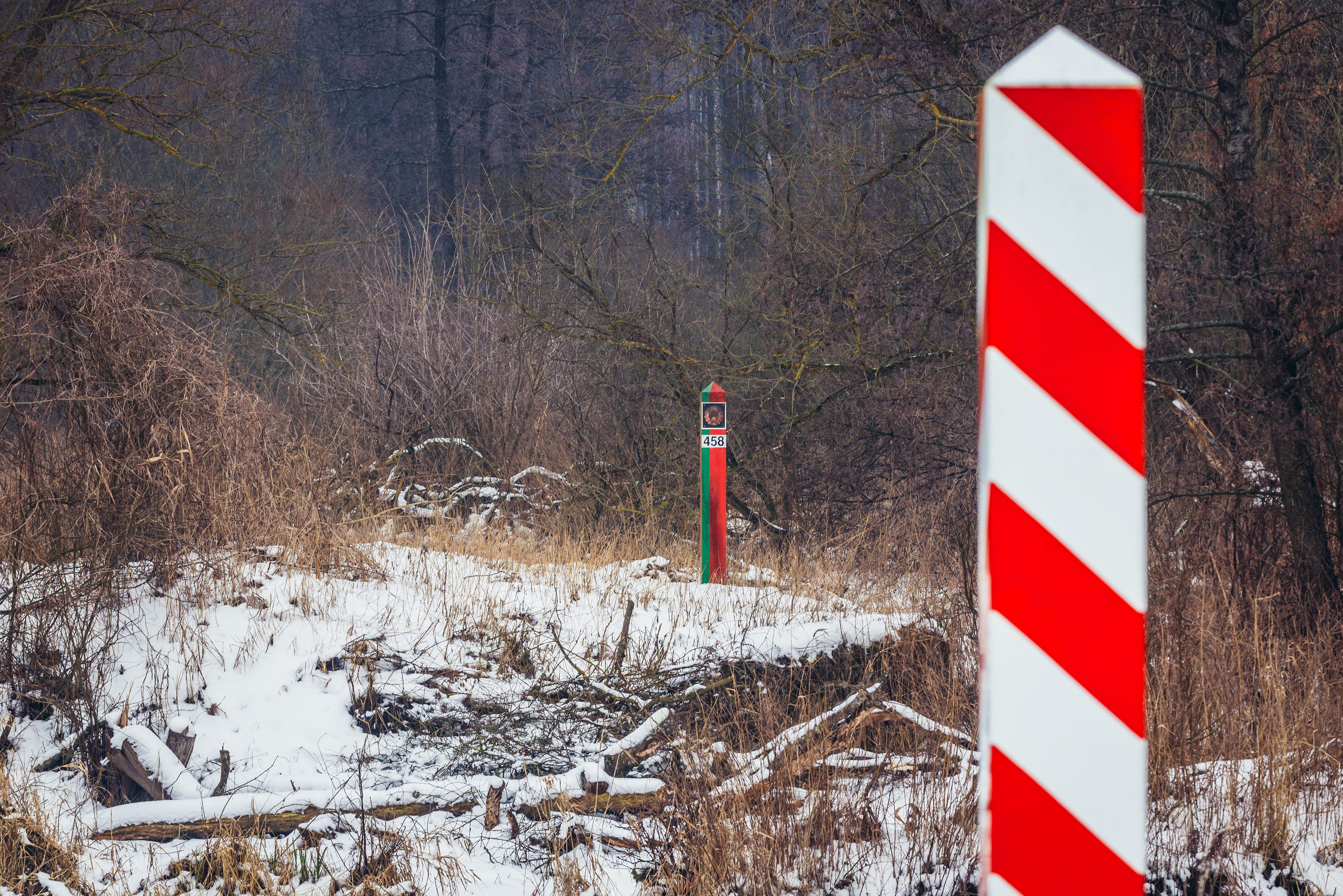   Sammelaktion für Geflüchtete | Linken-Abgeordnete fahren an die belarussisch-polnische Grenze  