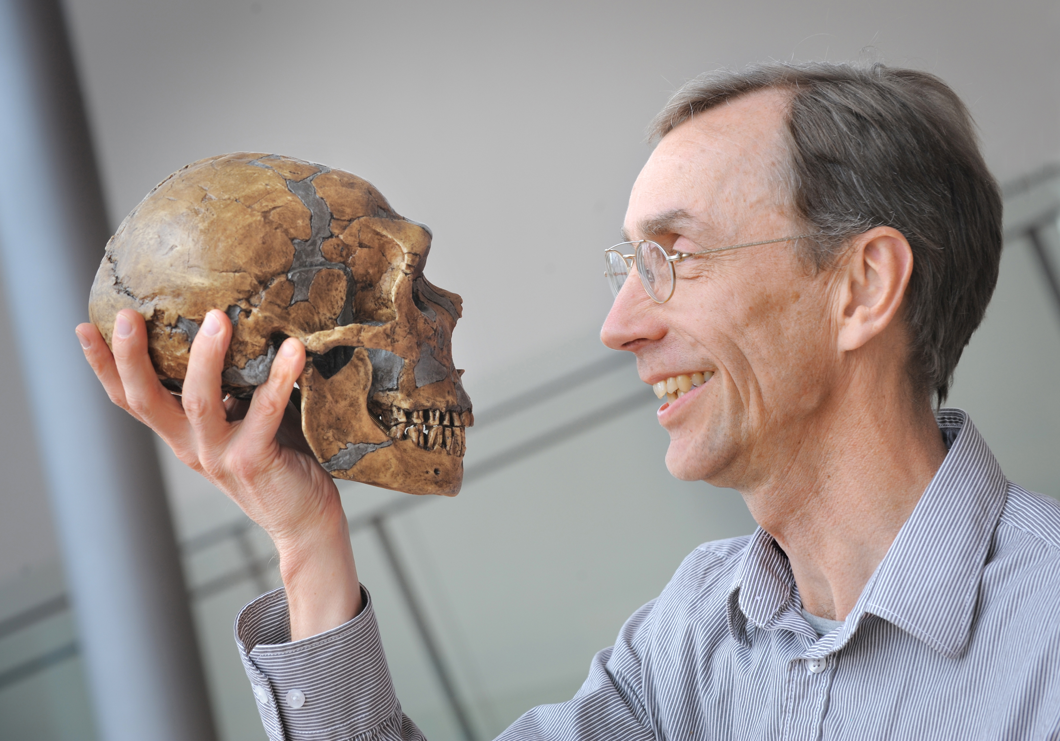   Der unterschätzte Cousin | Verfeinerte Methoden und technologischer Fortschritt veränderten in den letzten Jahren unser Bild vom Neandertaler grundlegend – ein Versuch, die nun nobelpreisprämierte Forschung zu umreißen  