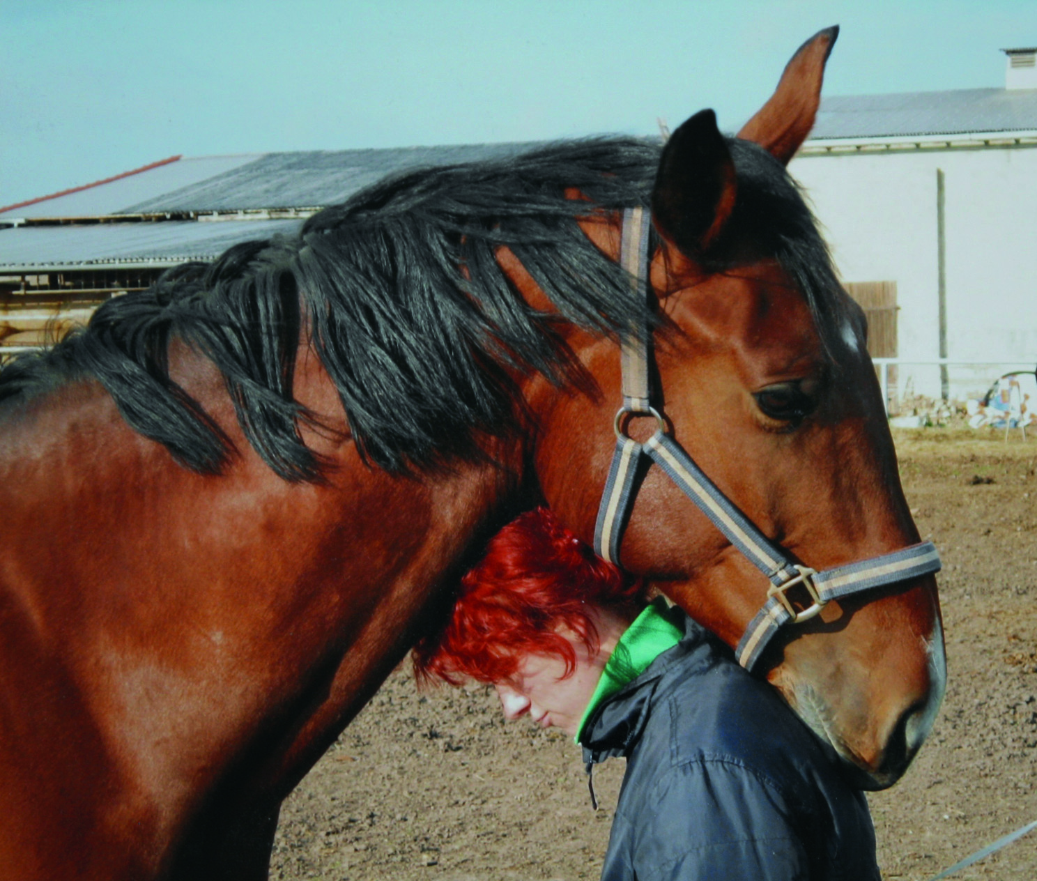 Antje Hamel im Jahr 2008 mit ihrem Pferd