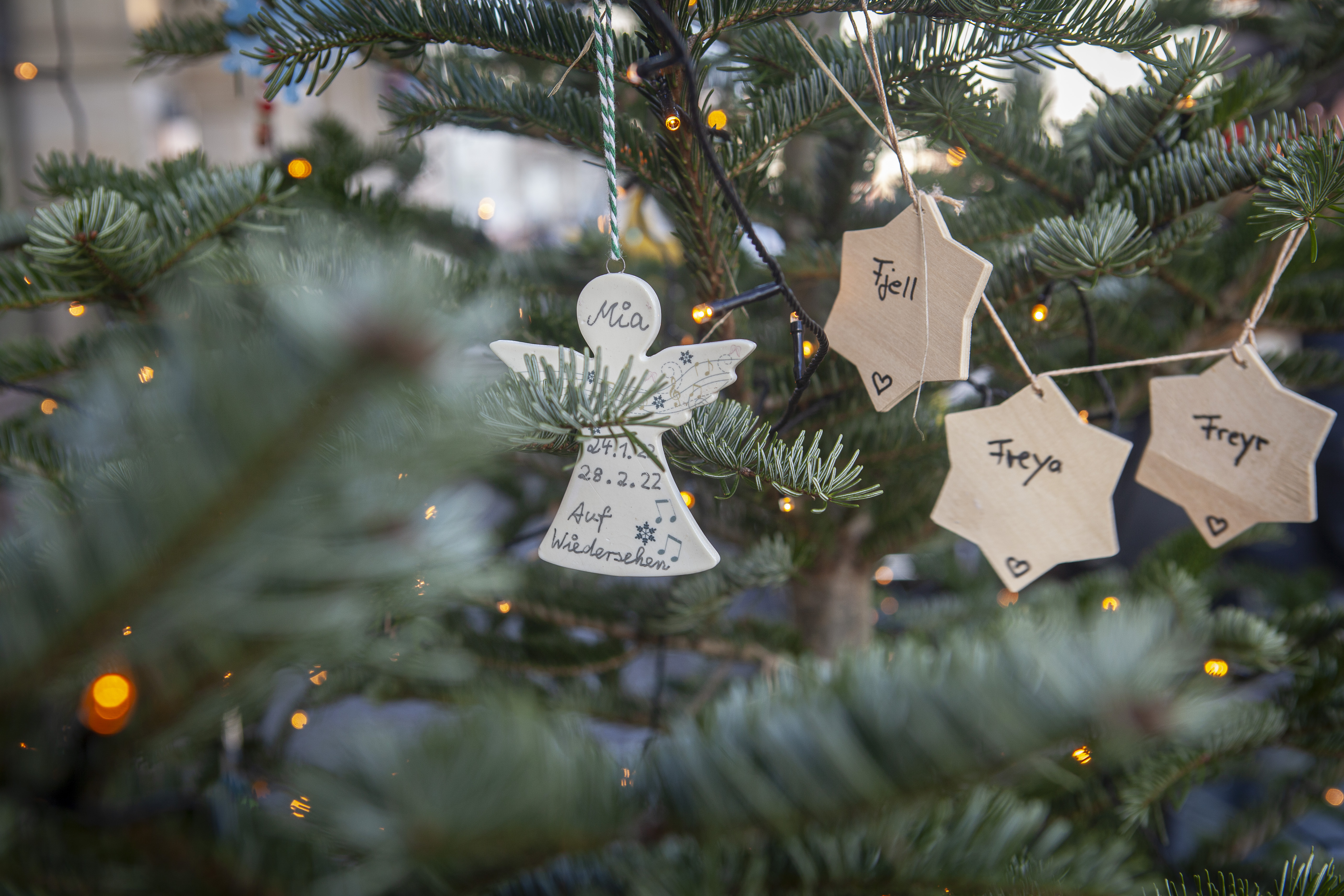   »Der Baum macht die Kinder sichtbar« | In Leipzig erinnert dieses Jahr ein Weihnachtsbaum an verstorben Kinder  