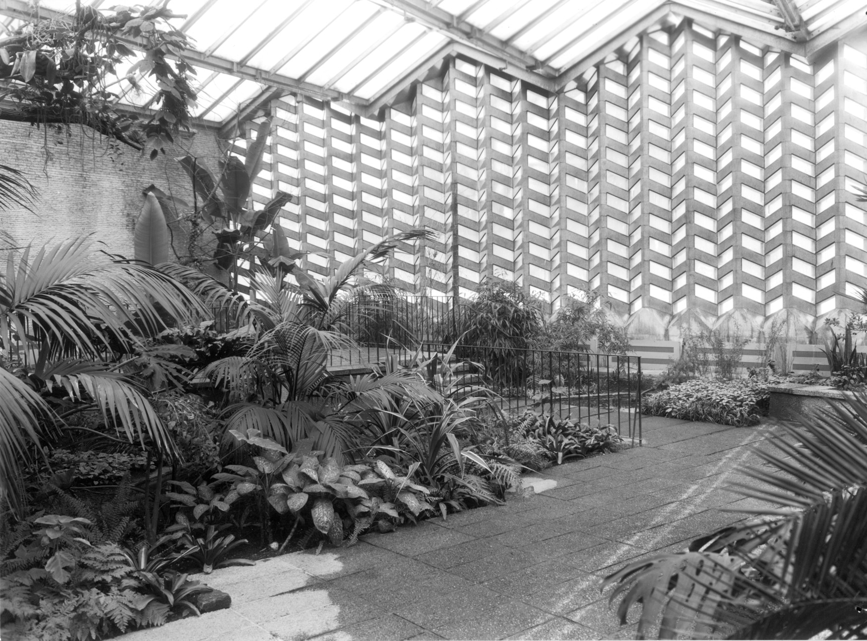   Im Zeichen des Tukans | Die denkmalgeschützte Vogelfreiflughalle soll dem Zoo der Zukunft weichen  