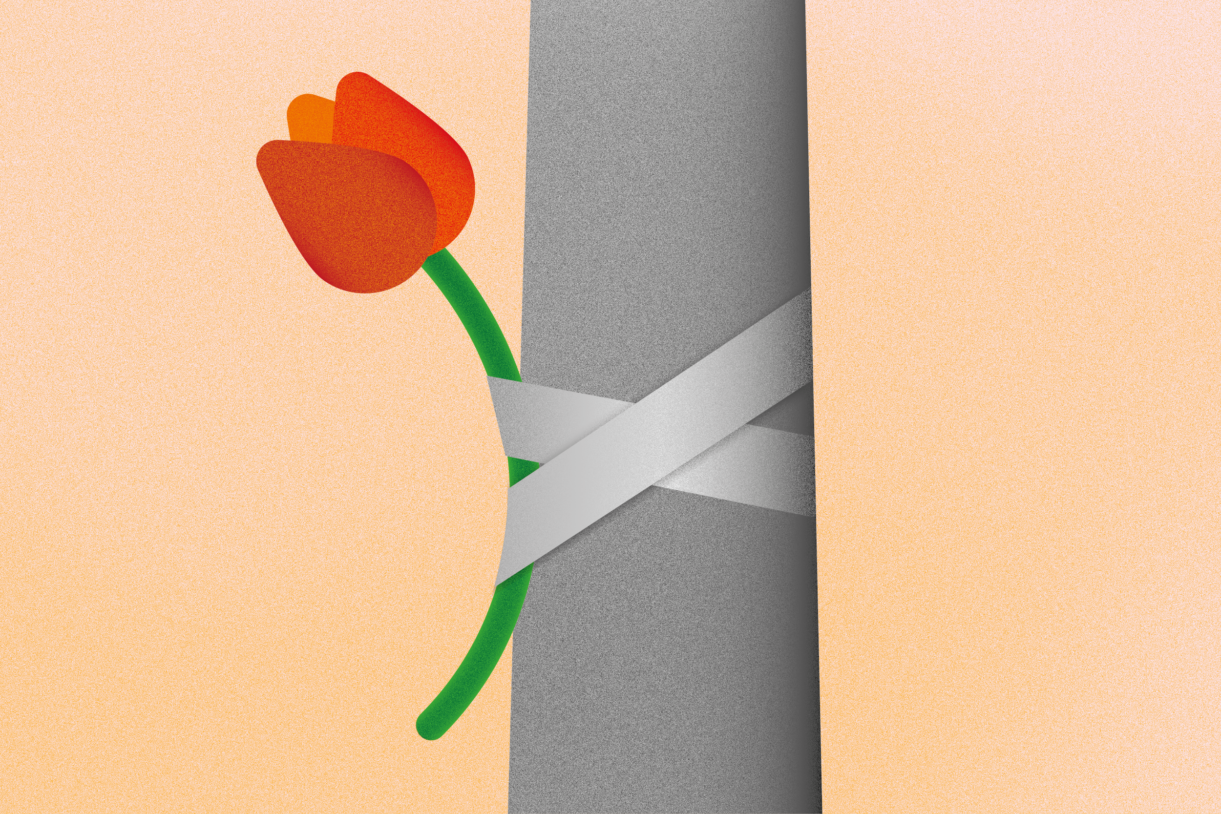   28. Januar: Vielen Zank für die Blumen | Die AfD sorgt sich um die Innenstadt und will sie mit Blumen verschönern  