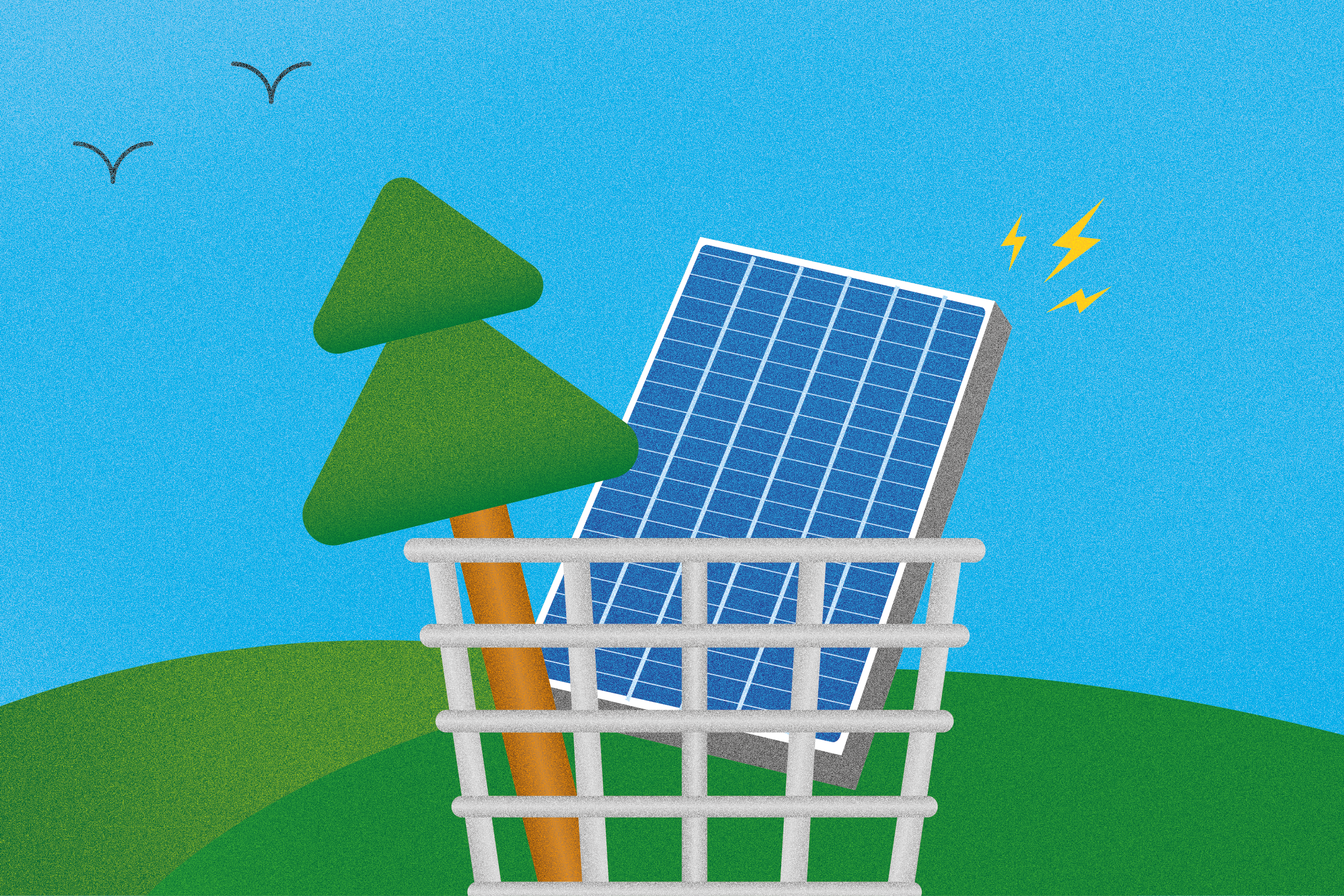   28. Januar: Wald oder Nicht-Wald | Seehausen steht vor der Frage: Naherholungsgebiet oder erneuerbare Energien?  