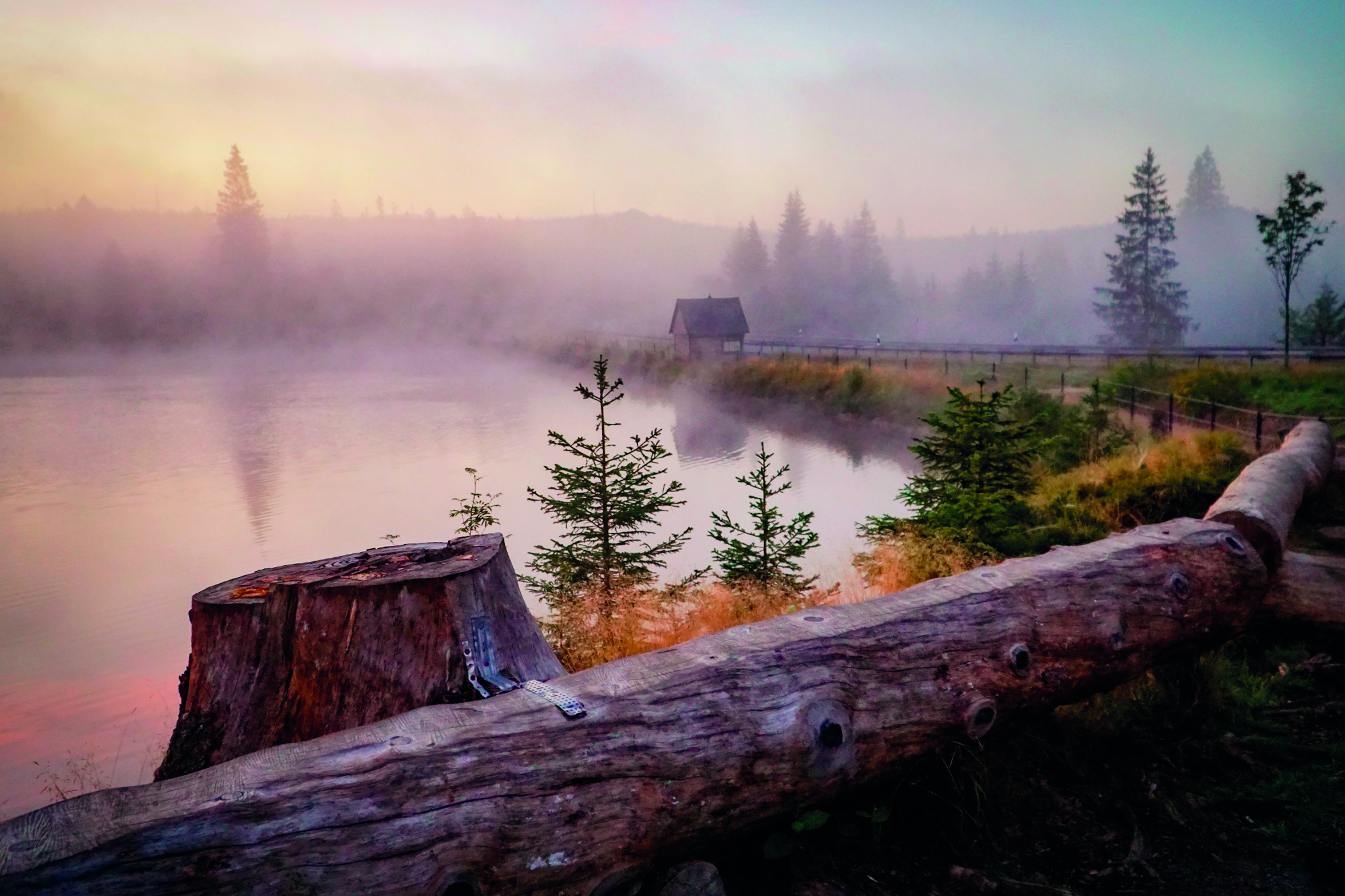   Berge, Bäche, Winterwald | Drei Tourenvorschläge für Freundinnen und Freunde des Wanderns in langen Unterhosen  