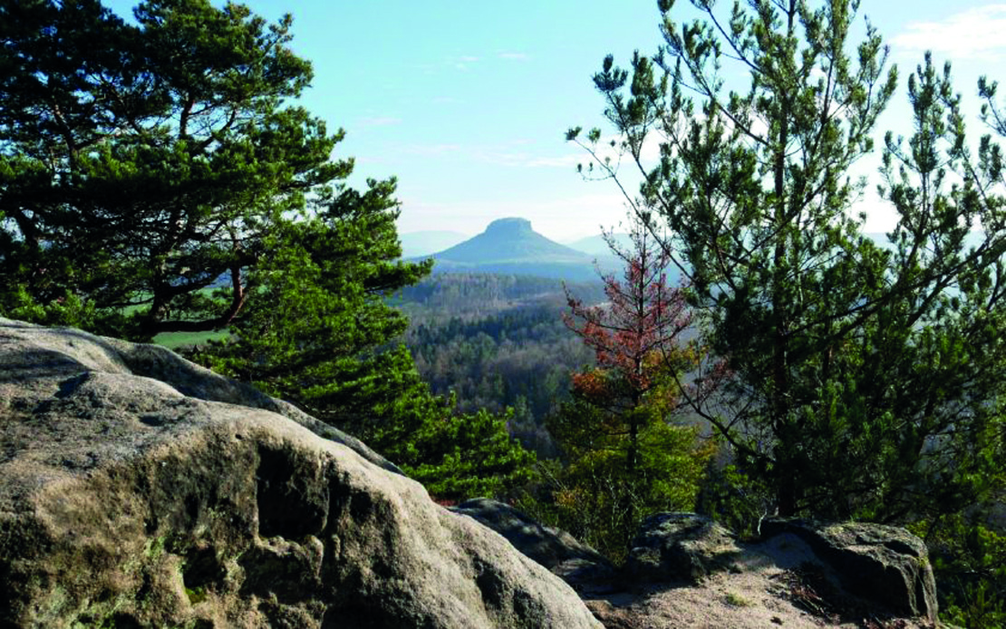   Felsen, Wald und Maler | Der Kleine Bärenstein in der Sächsischen Schweiz ist ein Tafelberg in hübscher Landschaft  