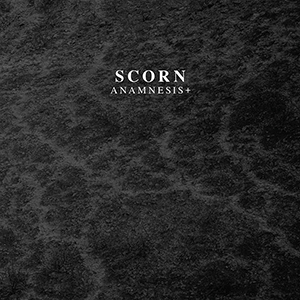 Scorn